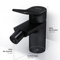 FXA83122 Bidetarmatur X-Joy Wasserhahn für Bidet, Schwarz ampm-store.de