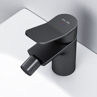 FXA83122 Bidetarmatur X-Joy Wasserhahn für Bidet, Schwarz ampm-store.de